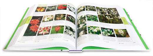 DK植物和花卉图解百科全书 英文原版 Encyclopedia Of Plants and Flowers 精装 儿童科普花草知识 少儿课外英语读物 英文版进口书 商品图1