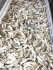 生怀山药片 无硫熏  河南焦作温县垆土铁棍山药 250克 商品缩略图3