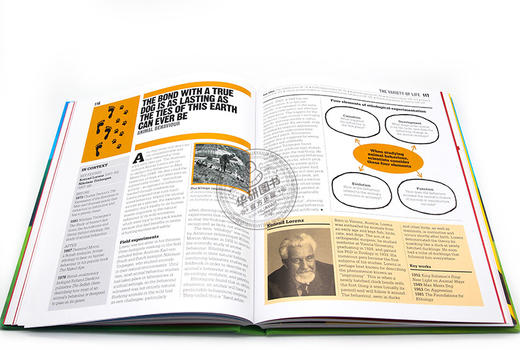 DK生态学百科图解 英文原版 The Ecology Book DK人类的思想百科丛书 科普百科 英文版原版书籍 精装 进口英语书 商品图2