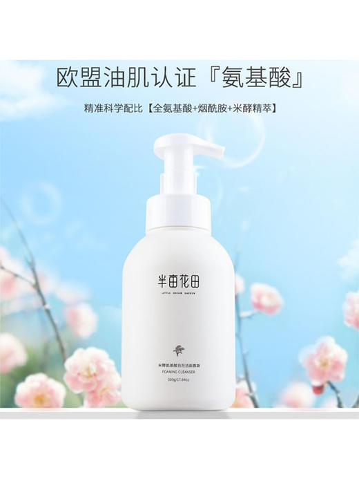 半亩花田米酵氨基酸泡泡洁面慕斯（去外盒）500g 商品图1