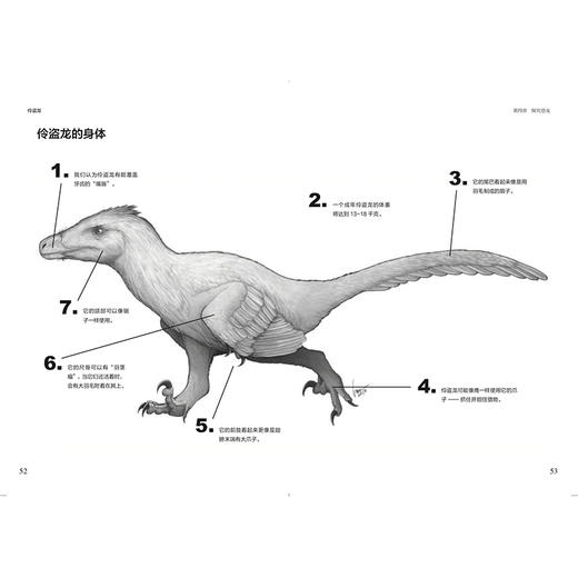 【郎总推荐】伶盗龙 给孩子的恐龙书 本加罗德 著 商品图2