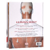 DK人体百科 英文原版 The Human Body Book 人体骨骼肌肉系统运作全方面知识 DK科普图解百科 精装 英文版 进口原版英语书籍 商品缩略图1