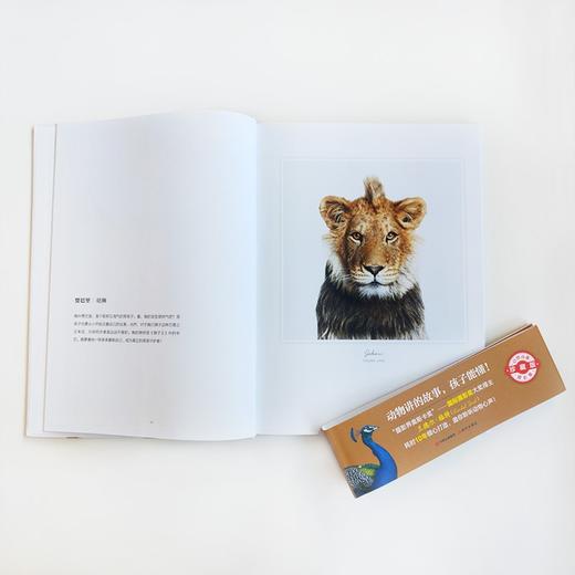 (仓发) （秋千童书）我的动物萌友/现代出版社/兰德尔·福特/9787514388589 商品图4