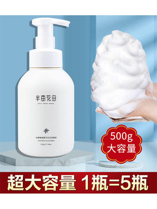 半亩花田米酵氨基酸泡泡洁面慕斯（去外盒）500g 商品图2
