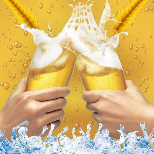 谷丰店品味买12瓶送12瓶 商品图3