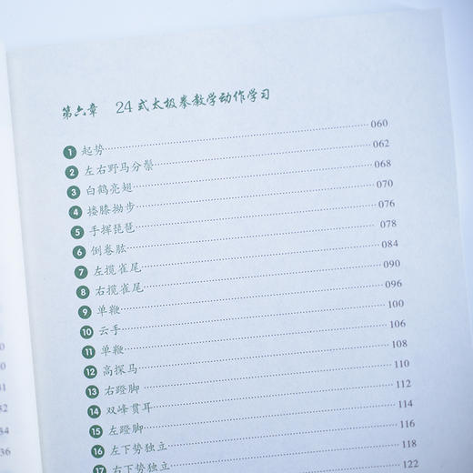 零基础学杨氏太*拳视频学习修订版 武术书籍 商品图3