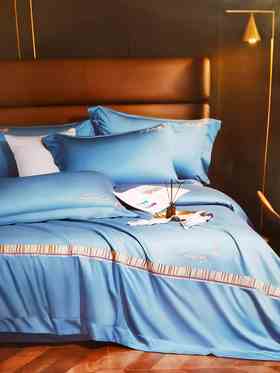 5F舒格雅天丝棉四件套