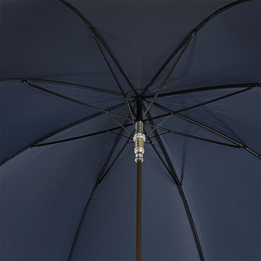 PASOTTI 意大利手工蓝色金狮子头蓝玳瑁纹手柄男直柄晴雨伞礼盒装 直柄晴雨伞 MLX39 商品图3