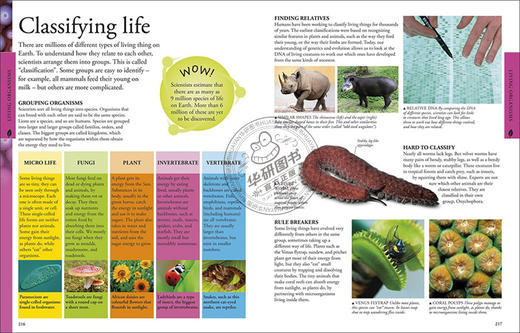 DK儿童科学百科全书 英文原版 Science A Children's Encyclopedia 课外阅读书 进口英语科普读物 英文版原版书籍 商品图3