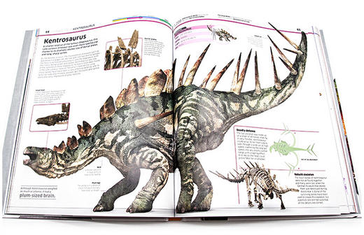 DK恐龙知识百科全书 英文原版 Knowledge Encyclopedia DinoSaur 恐龙图解百科 精装大开本 英文版进口原版英语书籍 商品图1