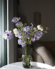 【不能实现的爱情】蓝盆花  多色可选  若干枝/扎 商品缩略图4