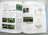RHS完整园丁手册 英文原版 RHS Complete Gardener's Manual 精装 生活百科 如何种植你的花园 英文版 进口英语书籍 商品缩略图1