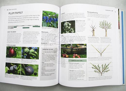 RHS完整园丁手册 英文原版 RHS Complete Gardener's Manual 精装 生活百科 如何种植你的花园 英文版 进口英语书籍 商品图1