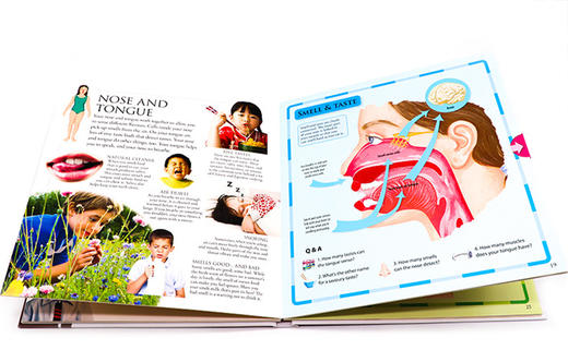 DK人体构造立体百科 英文原版 The Pop up Pull out Human Body 人类身体科普启蒙 全彩插画版图解 精装 英文版进口英语书籍 商品图2