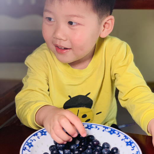 云南高山花香树上熟蓝莓  125g/盒  （酸甜可口） 商品图13