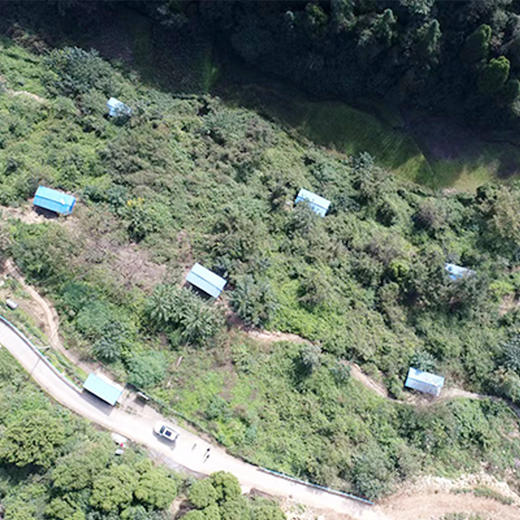 毕节七星关 凤舞黔山【田坎药焗鸡】整只（含秘制蘸料）生态散养 民间技艺改良  麻辣鲜香 全国包邮部分地区不发货 商品图5