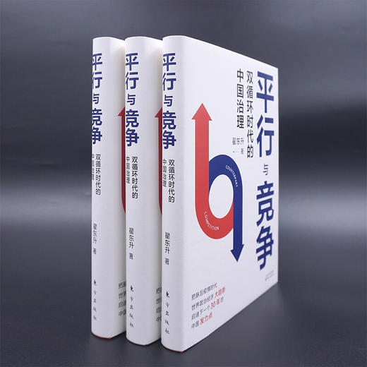 平行与竞争 双循环时代的中国治理 翟东升 著 经济 商品图2