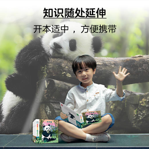 亲亲科学图书馆（第9辑）（共10册）科普绘本图画书 商品图4