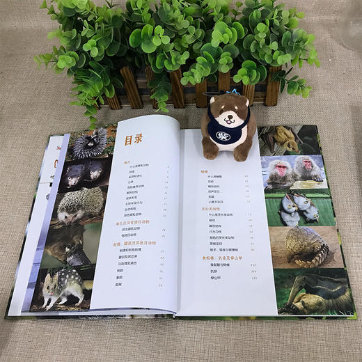 (仓发) 国家地理动物百科2.0版：哺乳动物（上）/山西人民出版社/西班牙Sol90/9787203107323 商品图3
