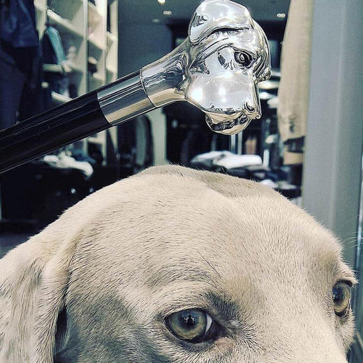 PASOTTI 雨伞手工意大利黑色暗纹狗头伞商务折叠伞二折太阳伞防晒 商品图1