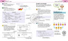 DK儿童Python程序编程图解指南 英文原版 Computer Coding Python Projects for Kids DK儿童编程语言学习系列 英文版英语书籍 商品缩略图3