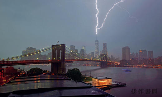 DUMBO: The Making of a New York Neighborhood /纽约DUMBO艺术区的建立 商品图2