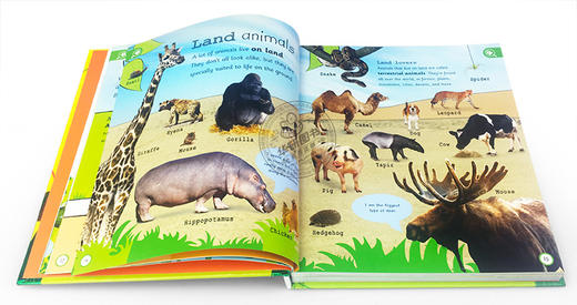 DK动物百科全书 英文原版书 My Encyclopedia of Very Important Animals 儿童科普书籍百科大全 英语课外阅读 英文版原版书籍 商品图2