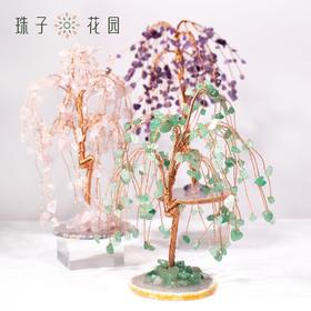 天然宝石相思树