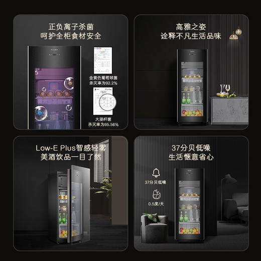 【离子杀菌，核膜保湿，专业制冰】卡萨帝166升可制冰双温家用办公室冷藏柜暖藏冰吧 茶叶饮料水果保鲜柜DS0166DK 商品图3