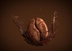 什么是阿拉比卡种？