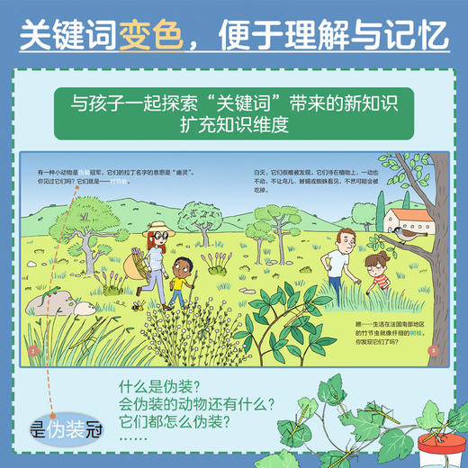 亲亲科学图书馆（第9辑）（共10册）科普绘本图画书 商品图3