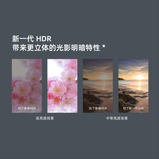 松下(Panasonic)TH-55JX700C 55英寸 全面屏AI语音智慧电视 4K超高清开机无广告液晶电视机 商品图3