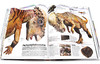 DK恐龙知识百科全书 英文原版 Knowledge Encyclopedia DinoSaur 恐龙图解百科 精装大开本 英文版进口原版英语书籍 商品缩略图2