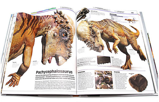 DK恐龙知识百科全书 英文原版 Knowledge Encyclopedia DinoSaur 恐龙图解百科 精装大开本 英文版进口原版英语书籍 商品图2