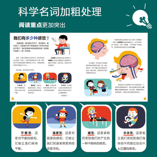 我的小问题·ke学（共8册）儿童 科普绘本 商品图6