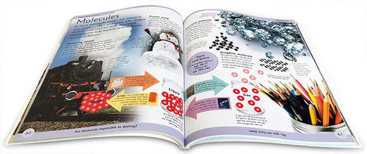 科学百科全书 英文原版 First Science Encyclopedia 科技探索 自然现象 动物植物图解词典 儿童学习参考书 英文版进口英语书籍 商品图2