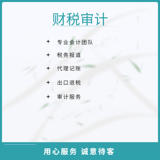 财税审计服务 商品图0