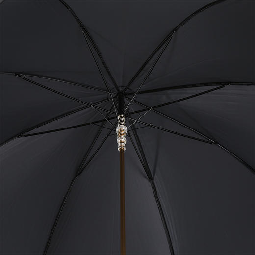 PASOTTI 意大利手工定制黑色伞面金色狮子头手柄直柄晴雨伞礼盒装 直柄晴雨伞 MLX41 商品图4