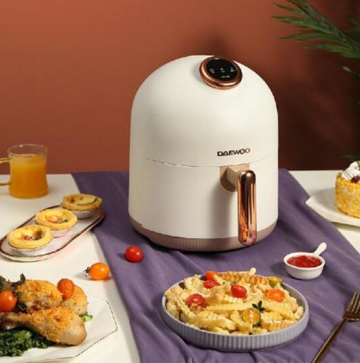 大宇 空气炸锅 DYKZ-045 商品图0