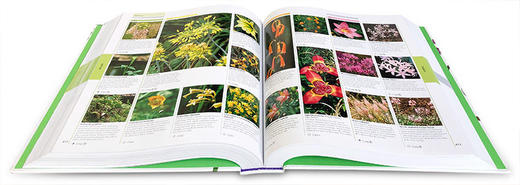 DK植物和花卉图解百科全书 英文原版 Encyclopedia Of Plants and Flowers 精装 儿童科普花草知识 少儿课外英语读物 英文版进口书 商品图2