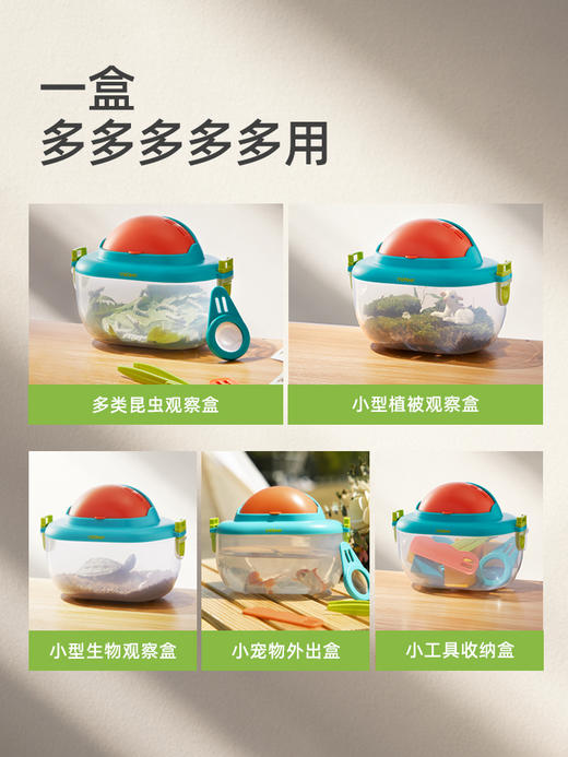 mideer儿童昆虫观察盒生物实验放大镜开学礼物观察器捕捉科学玩具 商品图1