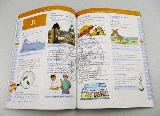 牛津图解初级科学词典新版 英文原版工具书 Oxford Primary Illustrated Science Dictionary 英文版字典 正版进口原版英语书籍 商品图1