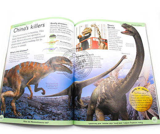 DK恐龙百科全书 英文原版 First Dinosaur Encyclopedia 图解词典科普书 英文版原版书籍 进口英语书 商品图1