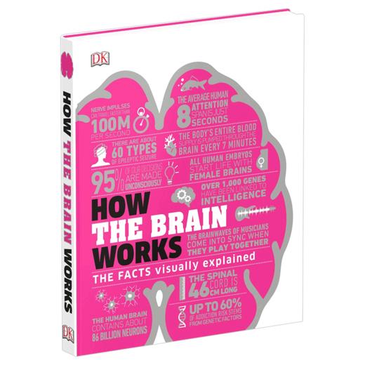 大脑是如何运作的 英文原版 How the Brain Works 大脑运作百科 DK科普读物图形图解 英文版进口原版英语书籍 商品图1