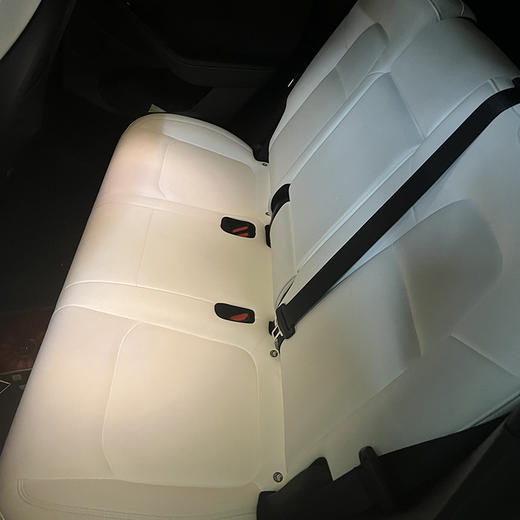 特斯拉 Model Y 长续航全轮驱动版 3D7 【月租-成都】 商品图6