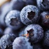 云南高山花香树上熟蓝莓  125g/盒  （酸甜可口） 商品缩略图7
