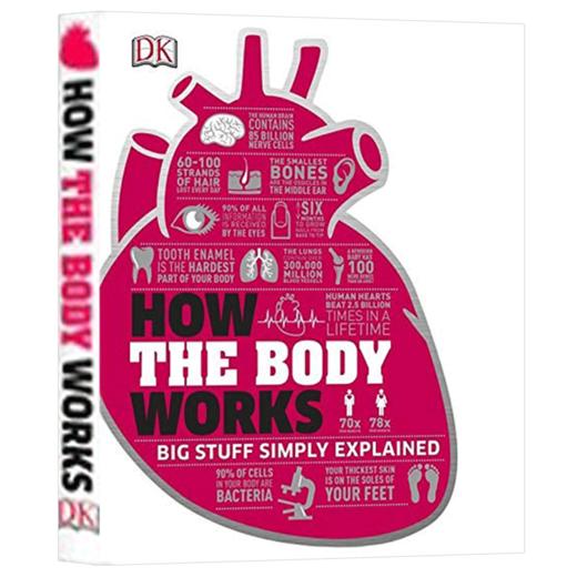 DK人体百科全书 英文原版 How the Body Works 人体是如何运作的 英文版 视觉图解科普书籍 精装进口原版英语书 商品图4