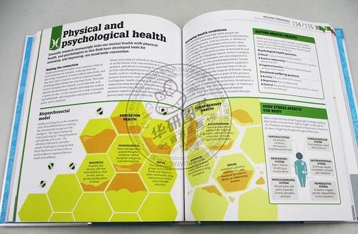 心理学如何运作 英文原版 How Psychology Works DK心理学百科 科普百科图解 英文版原版书籍 进口英语书 商品图1