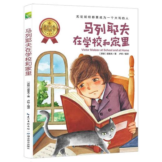世界经典男孩故事（全6册）《捣蛋鬼日记》《莫吐儿传奇》《彭罗德》《汤姆索亚历险记》《我的超级老实话》《马列耶夫在学校和家里》 商品图5