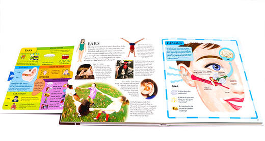 DK人体构造立体百科 英文原版 The Pop up Pull out Human Body 人类身体科普启蒙 全彩插画版图解 精装 英文版进口英语书籍 商品图1